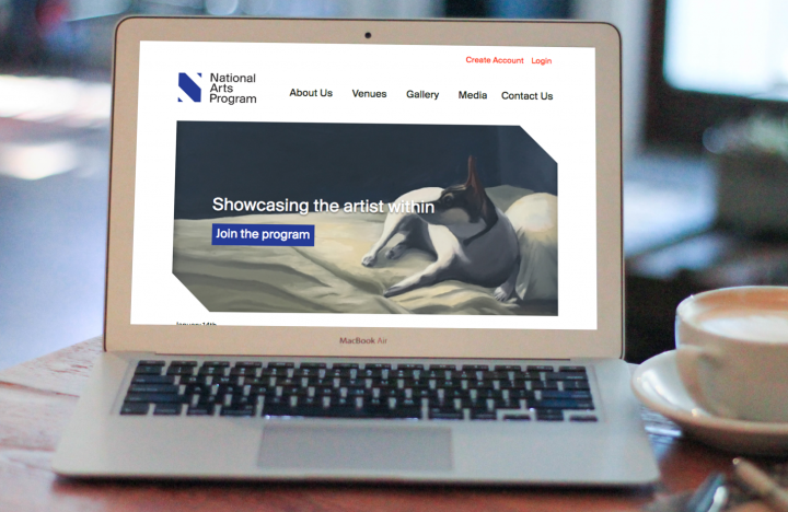NAP Website on Laptop National Arts Program Foundation Website on MacBook